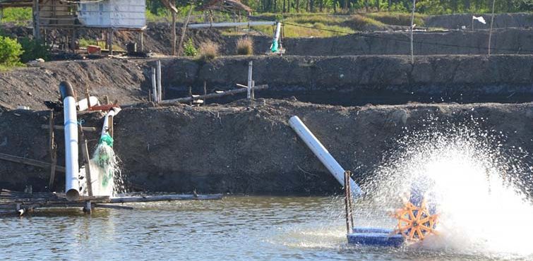 Standar Ph Air Tambak